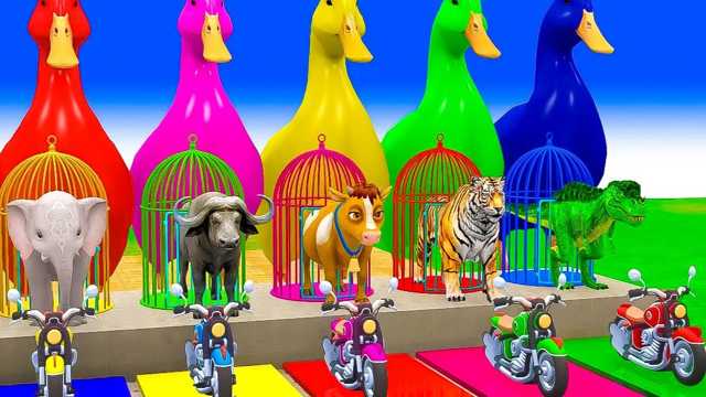 Toy video: Learn colors with fun  animals img