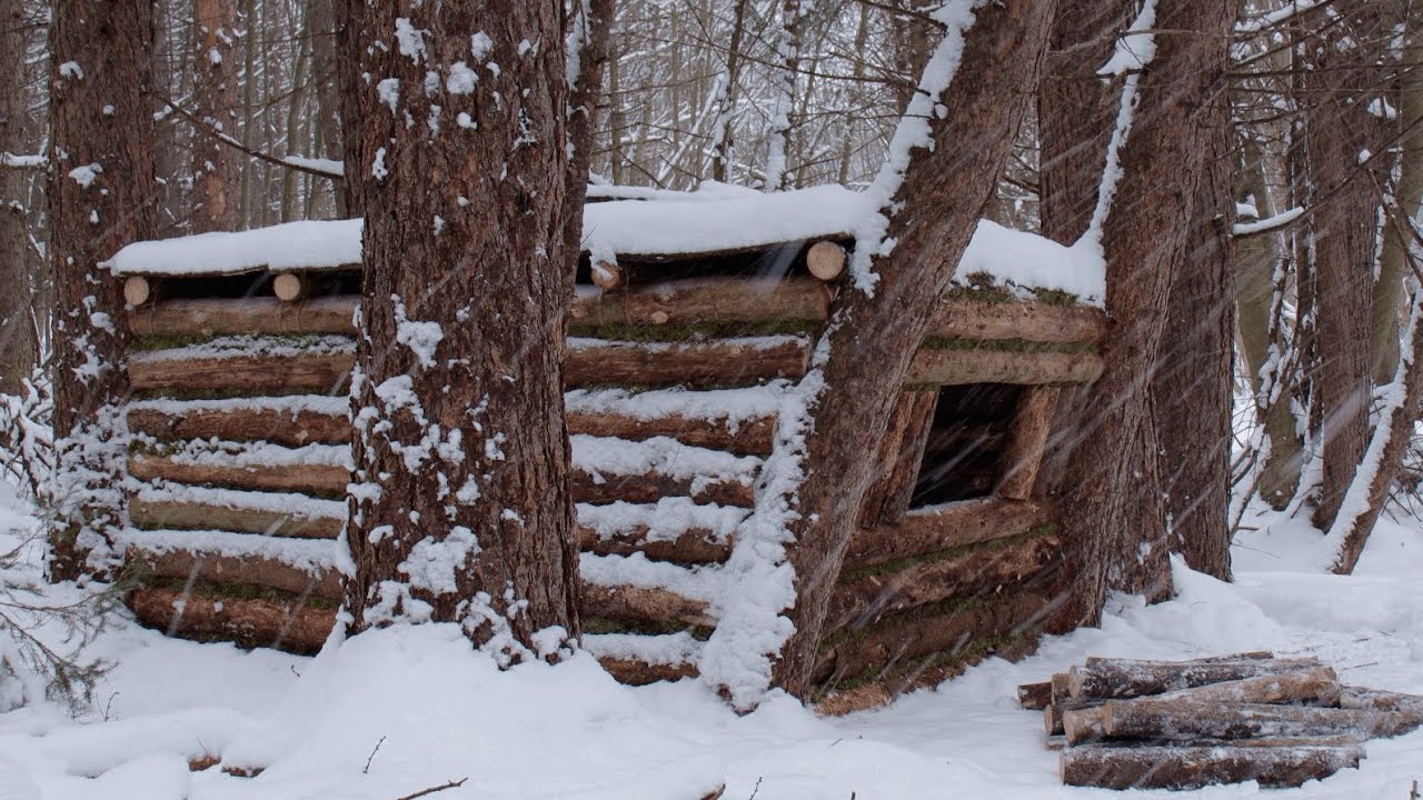 Building a Warm Winter Shelter for Survival in the Wild Woods. Winter Bushcraft. ASMR img